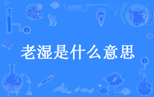 【网络用语】“老湿”是什么意思？ – 【最新网络热词】