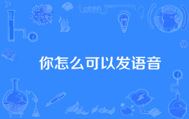 “你怎么可以发语音”是什么意思？ – 【最新网络热词】