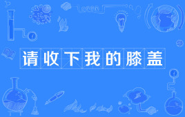 “请收下我的膝盖”是什么意思？ – 【最新网络热词】