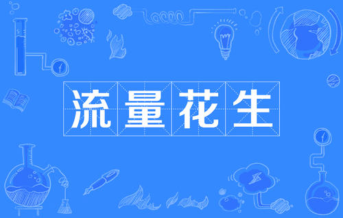 【网络用语】“流量花生”是什么意思？ – 【最新网络热词】