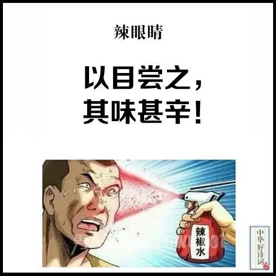 “以目尝之，其味甚辛”是什么意思？ – 【最新网络热词】