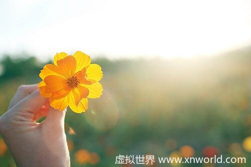 关于优美精彩的瞬间的句子大全