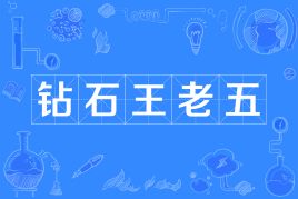【民间俗语】“钻石王老五”是什么意思？ – 【最新网络热词】