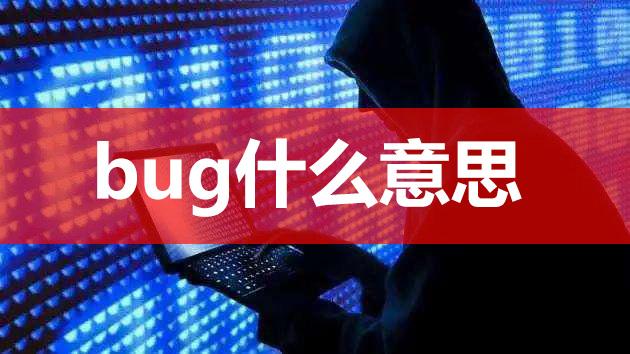 【网络用语】“BUG”是什么意思？ – 【最新网络热词】