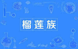 【网络用语】“榴莲族”和“草莓族”是什么意思？ – 【最新网络热词】