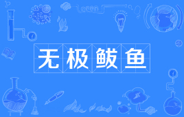 【网络用语】“无极鲅鱼”是什么意思？ – 【最新网络热词】