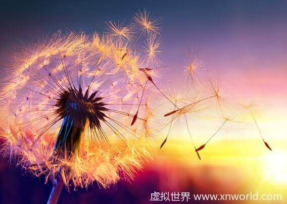 优秀志愿者评语大全