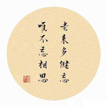 “老来多健忘，唯不忘相思”是什么意思？