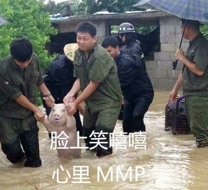 “脸上笑嘻嘻心里mmp”是什么梗？ 是什么梗？ – 【最新网络热词】