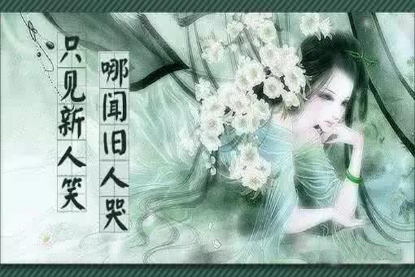 “只见新人笑，哪闻旧人哭”是什么意思？是什么梗？ – 【最新网络热词】