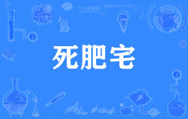 【网络用语】“死肥宅”是什么意思？是什么梗？ – 【最新网络热词】
