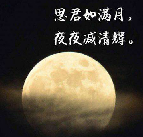 “思君如满月，夜夜减清辉”是什么意思？是什么梗？ – 【最新网络热词】