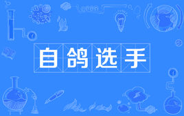 “自鸽选手”是什么意思？ 是什么梗？ – 【最新网络热词】