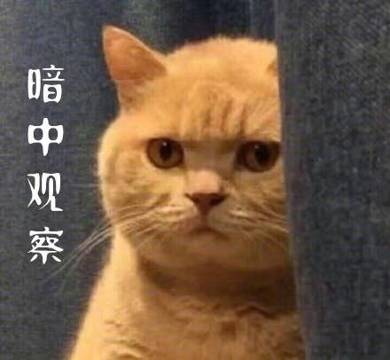 【网络用语】“暗中观察”是什么意思？ 是什么梗？ – 【最新网络热词】