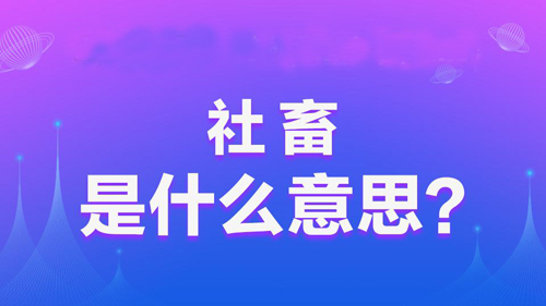 【网络用语】“社畜”是什么意思？是什么梗？ – 【最新网络热词】