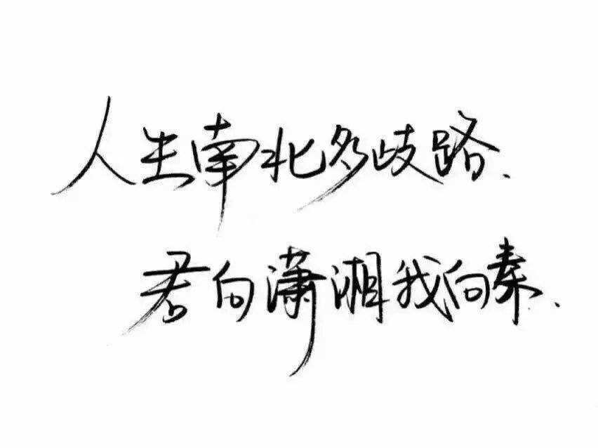 “人生南北多歧路，君向潇湘我向秦”是什么意思？ 是什么梗？ – 【最新网络热词】