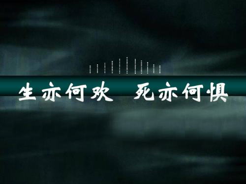 “生亦何欢,死亦何惧”是什么意思？是什么梗？ – 【最新网络热词】