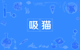 【网络用语】“吸猫”是什么意思？是什么梗？ – 【最新网络热词】