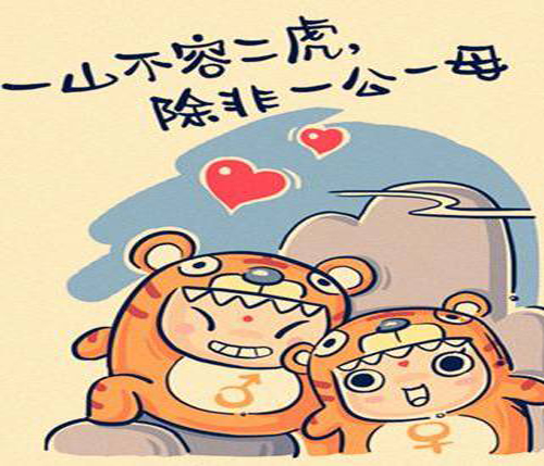 “一山不容二虎，除非一公和一母”是什么意思？ 是什么梗？ – 【最新网络热词】