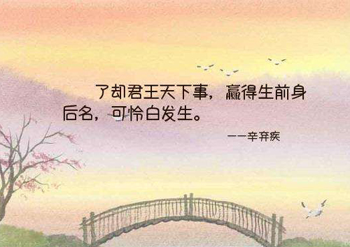 “了却君王天下事，赢得生前身后名”是什么意思？是什么梗？ – 【最新网络热词】