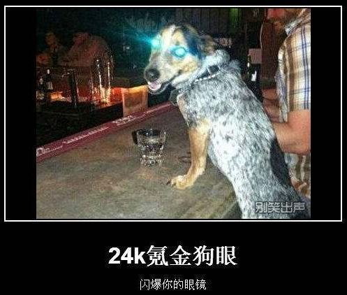 【网络用语】“氪金狗眼”是什么意思？是什么梗？ – 【最新网络热词】
