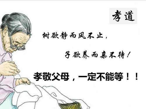 “树欲静而风不止，子欲养而亲不待”是什么意思？ 是什么梗？ – 【最新网络热词】