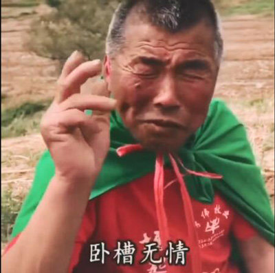 “卧槽无情”是什么意思？是什么梗？ – 【最新网络热词】