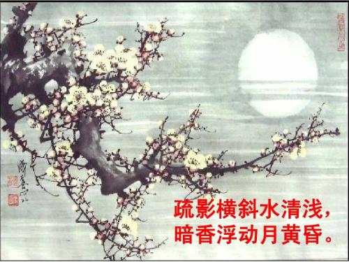 “疏影横斜水清浅，暗香浮动月黄昏”是什么意思？是什么梗？ – 【最新网络热词】