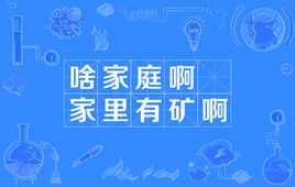 “啥家庭啊，家里有矿啊”是什么意思？是什么梗？ – 【最新网络热词】