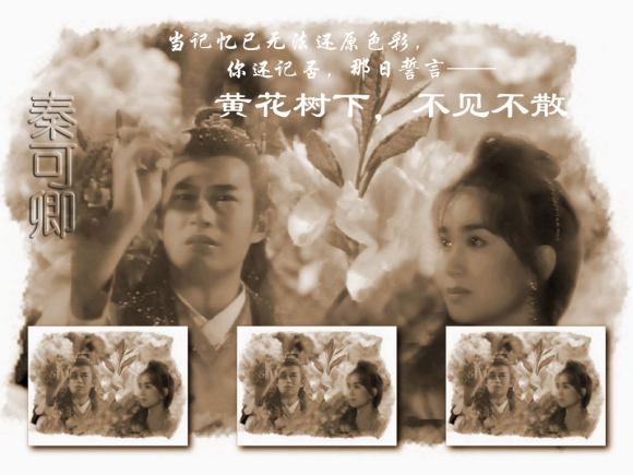 经典台词：黄花树下，不见不散 是什么梗？ – 【最新网络热词】