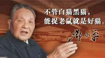“不管白猫黑猫，能捉老鼠就是好猫”是什么意思？ 是什么梗？ – 【最新网络热词】