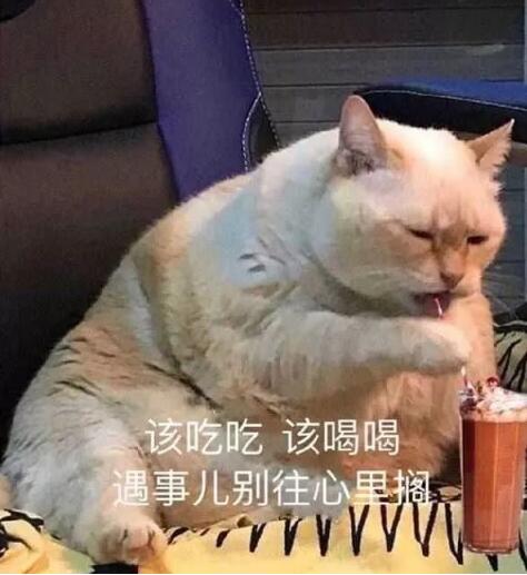 【网络用语】“开导”是什么梗？“开导”是什么意思？是什么梗？ – 【最新网络热词】