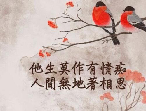 “他生莫作有情痴，人间无地著相思”是什么意思？是什么梗？ – 【最新网络热词】