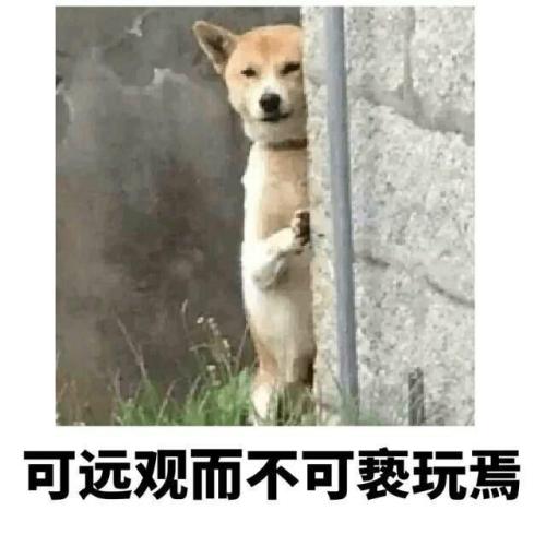 “只可远观而不可亵玩焉”是什么意思？是什么梗？ – 【最新网络热词】