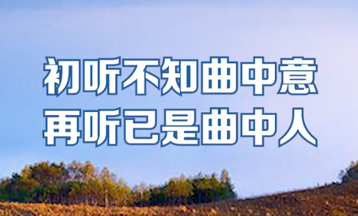 “初闻不知曲中意，再听已是曲中人”是什么意思？是什么梗？ – 【最新网络热词】