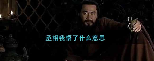 【网络热词】“丞相我悟了”是什么意思？是什么梗？ – 【最新网络热词】