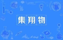 “集翔物”是什么意思？ 是什么梗？ – 【最新网络热词】