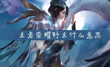 【王者荣耀】中的“野王”是什么意思？是什么梗？ – 【最新网络热词】