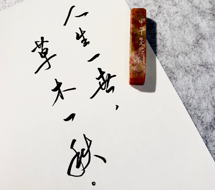 “人生一世，草木一秋”是什么意思？是什么梗？ – 【最新网络热词】
