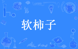 “软柿子”是什么意思？ 是什么梗？ – 【最新网络热词】