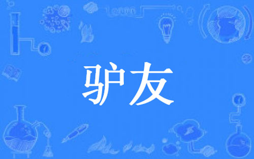 【网络用语】“驴友”是什么意思？是什么梗？ – 【最新网络热词】