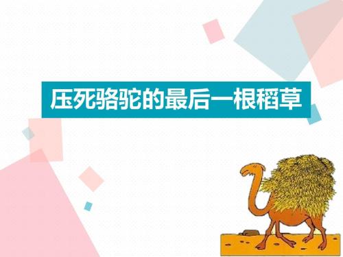 “压死骆驼的最后一根稻草”是什么意思？是什么梗？ – 【最新网络热词】