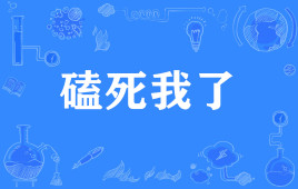 “磕死我了”是什么意思？ 是什么梗？ – 【最新网络热词】