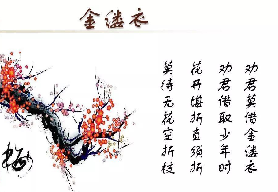 “花开堪折直须折，莫待无花空折枝”是什么意思？是什么梗？ – 【最新网络热词】