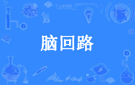 “脑回路”是什么意思？是什么梗？ – 【最新网络热词】