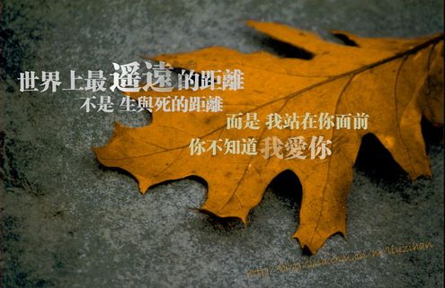 经典语句：“世界上最遥远的距离” 是什么梗？ – 【最新网络热词】