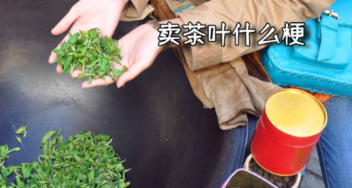 网络上的“卖茶叶”是什么梗？是什么梗？ – 【最新网络热词】