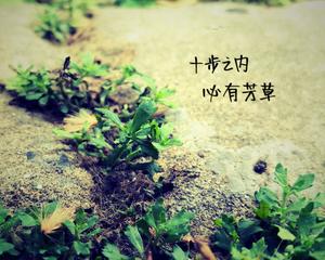 “十步之内，必有芳草”是什么意思?是什么梗？ – 【最新网络热词】