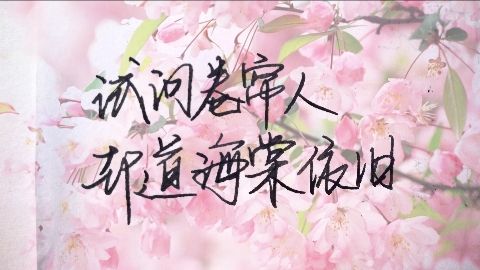 “试问卷帘人，却道海棠依旧”是什么意思?是什么梗？ – 【最新网络热词】