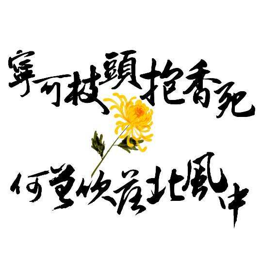 “宁可枝头抱香死，何曾吹落北风中”是什么意思？是什么梗？ – 【最新网络热词】
